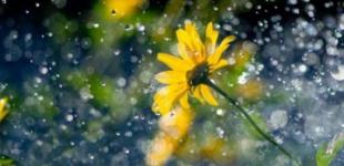 Погода на ближайшие дни: будет жарко, но пройдут грозовые дожди