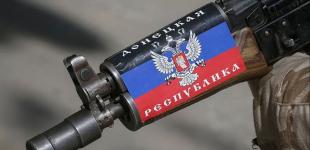 Выборы ради выборов не совсем целесообразны – Пушилин