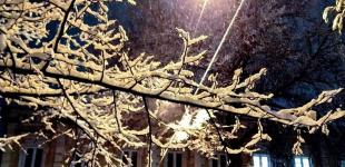 Дощ, мокрий сніг та плюсова температура: синоптикиня розповіла про погоду на 21 листопада