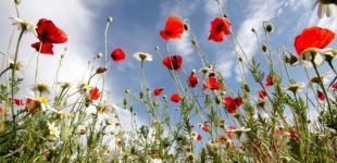 В яких регіонах України будуть грози, а які потерпатимуть від екстремальної спеки — прогноз погоди на вихідні