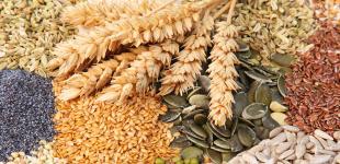 Самые полезные каши на завтрак