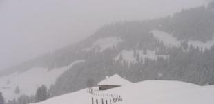 Метели, ветер и мороз: где в Украине ухудшится погода