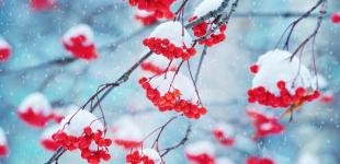 Будет теплее: синоптики рассказали о зиме-2022