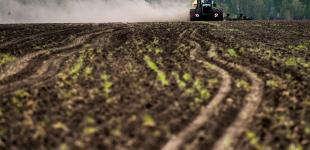 Эксперты предлагают отменить господдержку аграриев как неэффективную