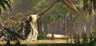 Самое большое известное летающее животное оказалось еще более странным, чем мы думали