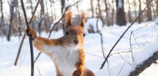 Синоптик рассказала, может ли глобальное потепление 