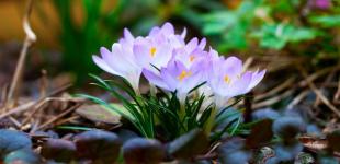 Когда в Украину вернется тепло до +15? 