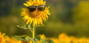 У четвер в Україні почне змінюватися погода: чого очікувати