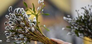 Христиане восточного обряда празднуют Вербное воскресенье