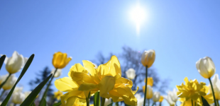 В Украине ожидается сухая и прохладная погода, без осадков