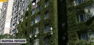 Київ під час війни взялися озеленювати у досить незвичний спосіб