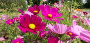 Жара пойдет на спад. Синоптик рассказала о погоде в Украине в последние дни июля