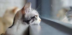 Осеннее тепло начнет покидать Украину