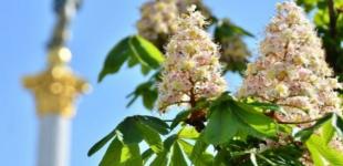 Выходные и праздничные дни на май 2019