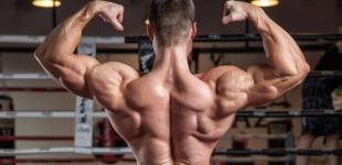 Широкая спина: как накачать крылья в домашних условиях