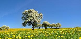 Антициклон ослабне: синоптик дав прогноз по Україні на 8 травня