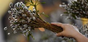 Вербное воскресенье 2018: что нельзя делать сегодня 