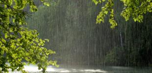 Огляд погодних умов в Україні на тиждень: 6 – 12 червня 2022