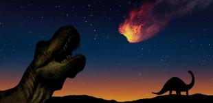 Это была темнота: Ученые поняли, что убило динозавров