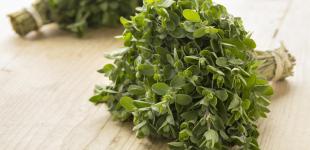 Приправа любви: как и где использовать майоран