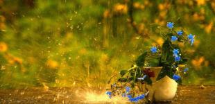 Часть Украины накроют мощные ливни, похолодает: синоптики обновили прогноз на выходные