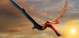 Настоящий дракон: Найдена крупнейшая летающая рептилия Австралии 