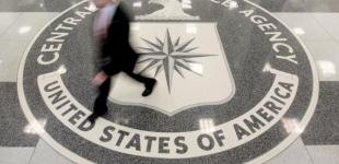 ЦРУ готовила птиц-шпионов в годы холодной войны 