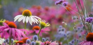 Українців чекає спекотний тиждень: шалена спека накриє майже всю країну