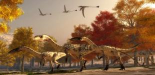 Некоторые динозавры могли вилять хвостом 