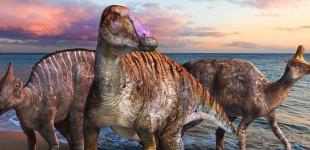 В Японии был обнаружен динозавр со сверхъестественными зубами 