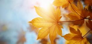 Народный синоптик дал прогноз погоды на осень 2020 в Украине