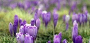 Україну накриють дощі, місцями - зі снігом: прогноз погоди на  2 квітня