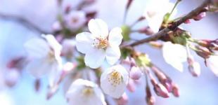 Погода в Україні продовжує погіршуватися: синоптики дали прогноз на 12 квітня