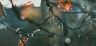 Готуйтеся до температурних 