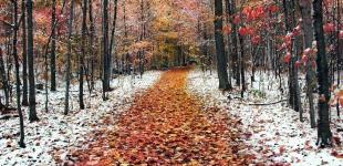 Погода в Украине в четверг от -7°С мороза до +9°С тепла