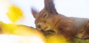 Синоптик про погоду найближчими днями: 