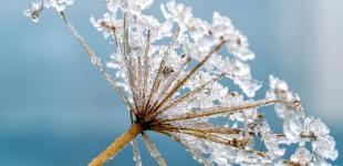 Синоптик розказала, чи буде сильний холод в Україні найближчим часом