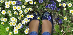 Укргідрометцентр розказав, яка погода чекає на українців у травні