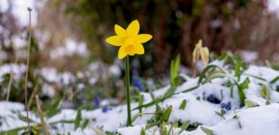 Весна на старті: мінлива погода, опади та температурні контрасти