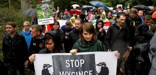 В Польше протестуют против вырубки Беловежской пущи