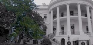 Мелания Трамп распорядилась спилить 200-летнюю магнолию на лужайке Белого дома