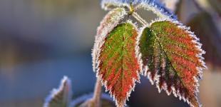 Якою буде погода у найближчі два тижні