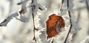 Температура впаде на кілька градусів: синоптик назвала дату похолодання в Україні