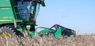 Скільки Україна розраховує зібрати зерна в цьому році: відповідь Мінагрополітики