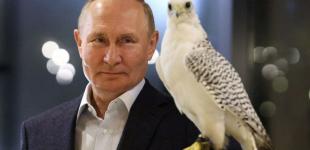 Путін не переживе поразку у війні і повернення Криму - The Telegraph 
