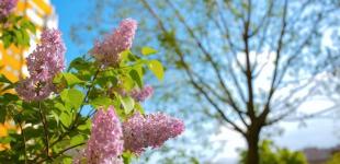 На українців чекає 