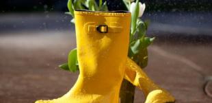 Якою буде весна в Україні: синоптикиня здивувала прогнозом