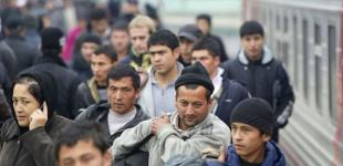 Україні потрібно 300 000 мігрантів щороку: соціологиня пояснила навіщо