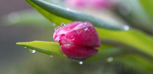 10 травня тепла не чекайте: у шести областях України будуть дощі