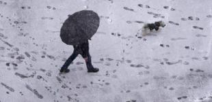 Прогноз погоди на вихідні 26–27 листопада: прохолодно, хмарно, дощі